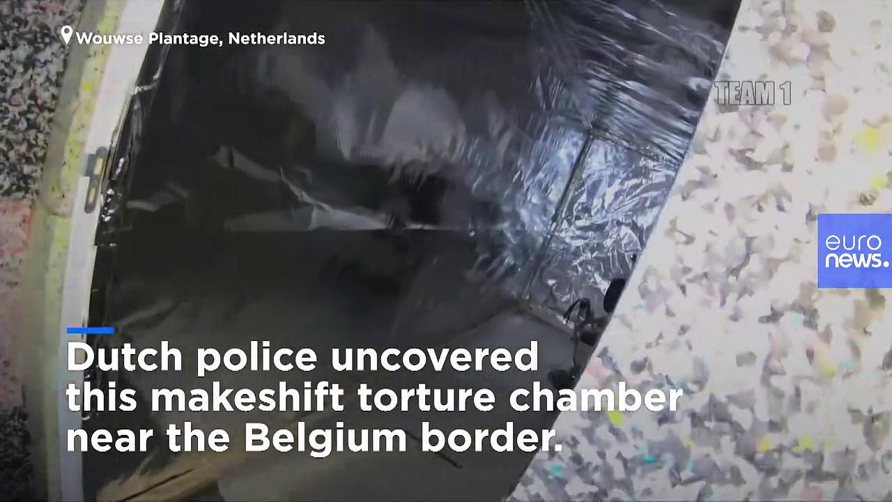 Six arrested after Dutch police discover 'prison and torture chamber' in sea containers