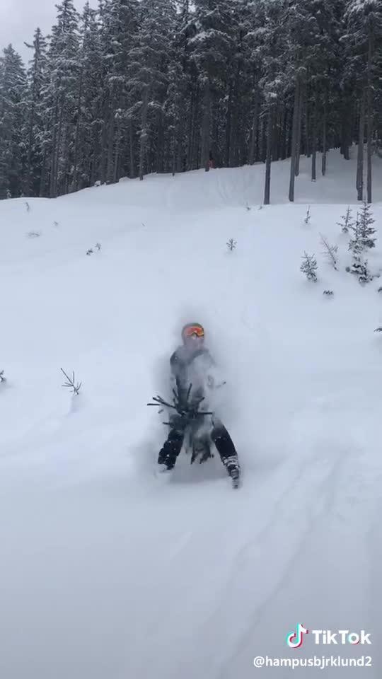 Guy Gets Hit in Crotch as he Crashes Directly Into Small Tree While Skiing on Downslope