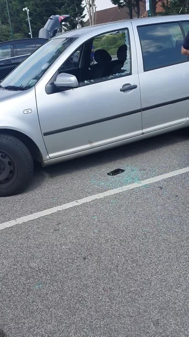Guy Smashes Car's Window to Rescue Dog