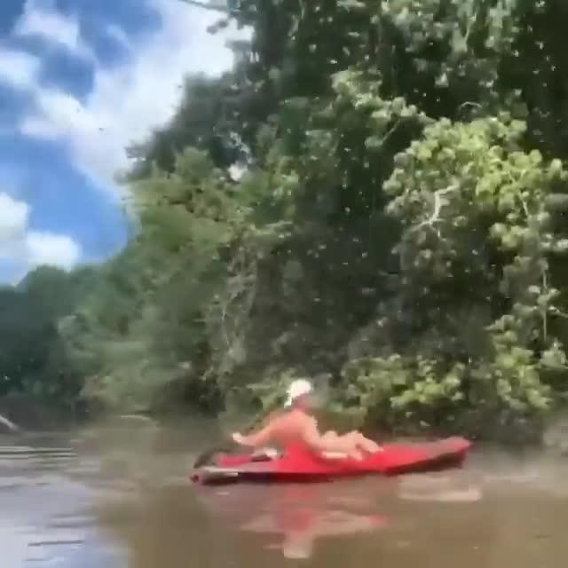Guy on Kayak Knocks Tree Branch Full of Bugs Using Paddle