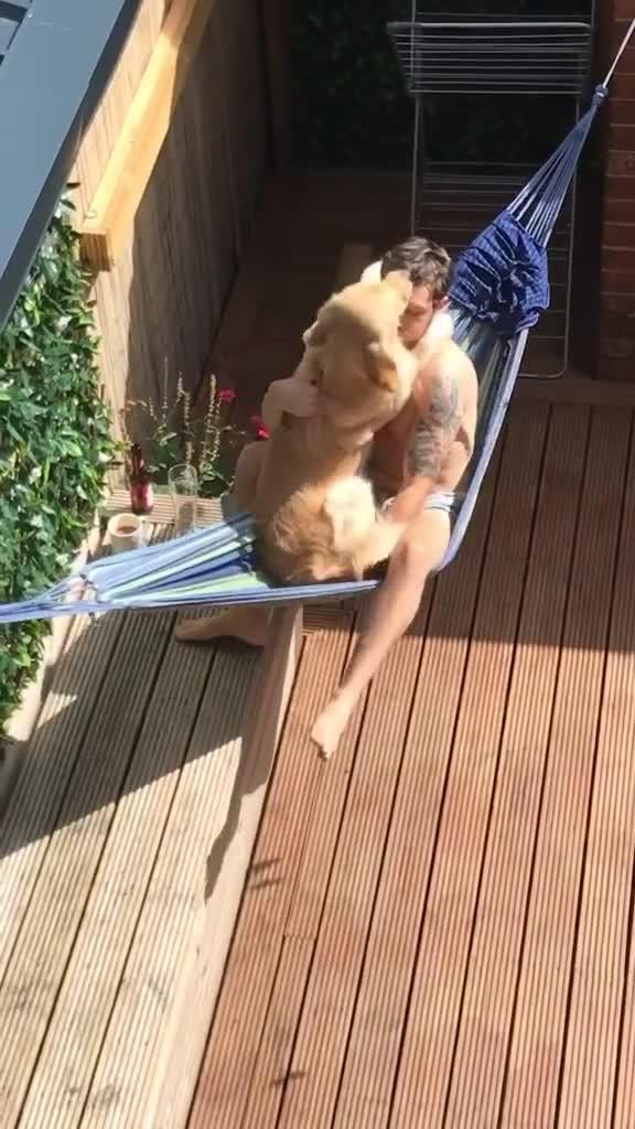 Owner Lifts up Dog onto Hammock to Cuddle With him