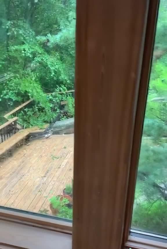 Storm Uproots Tree Causing it to Fall and Destroy Deck Of an Upstate New York Home