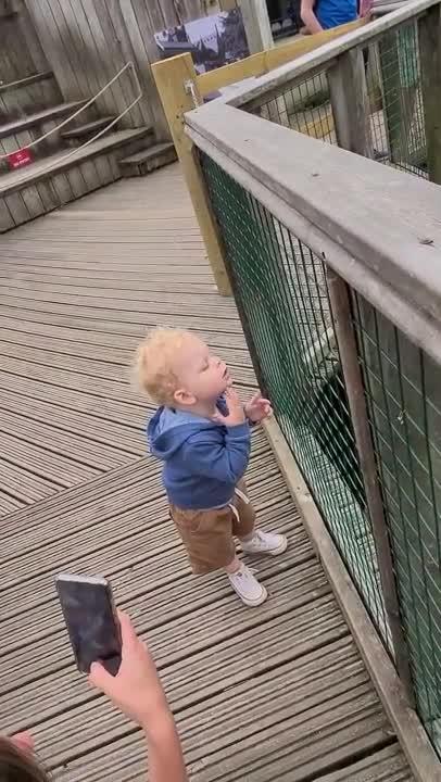 Toddler Imitates Sea Lion Scratching Itself